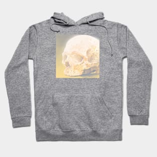 Skully July Day 15 Hoodie